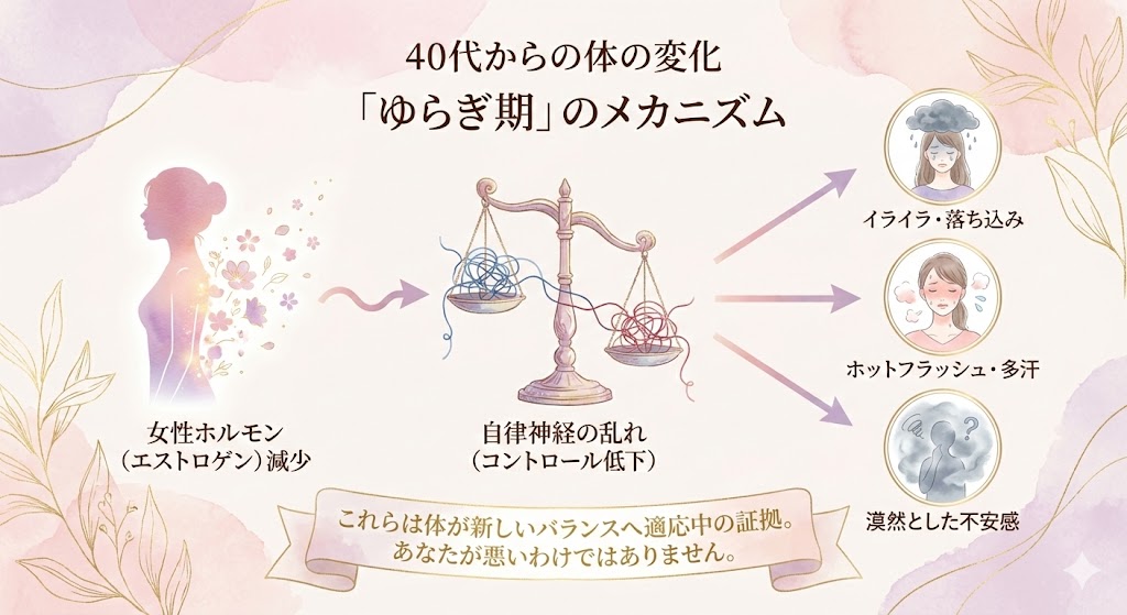 【体の変化】「ゆらぎ期」の入り口？女性ホルモンと自律神経の乱れの図解
