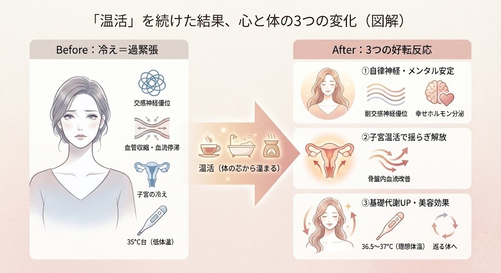 温活を続けた効果の図解